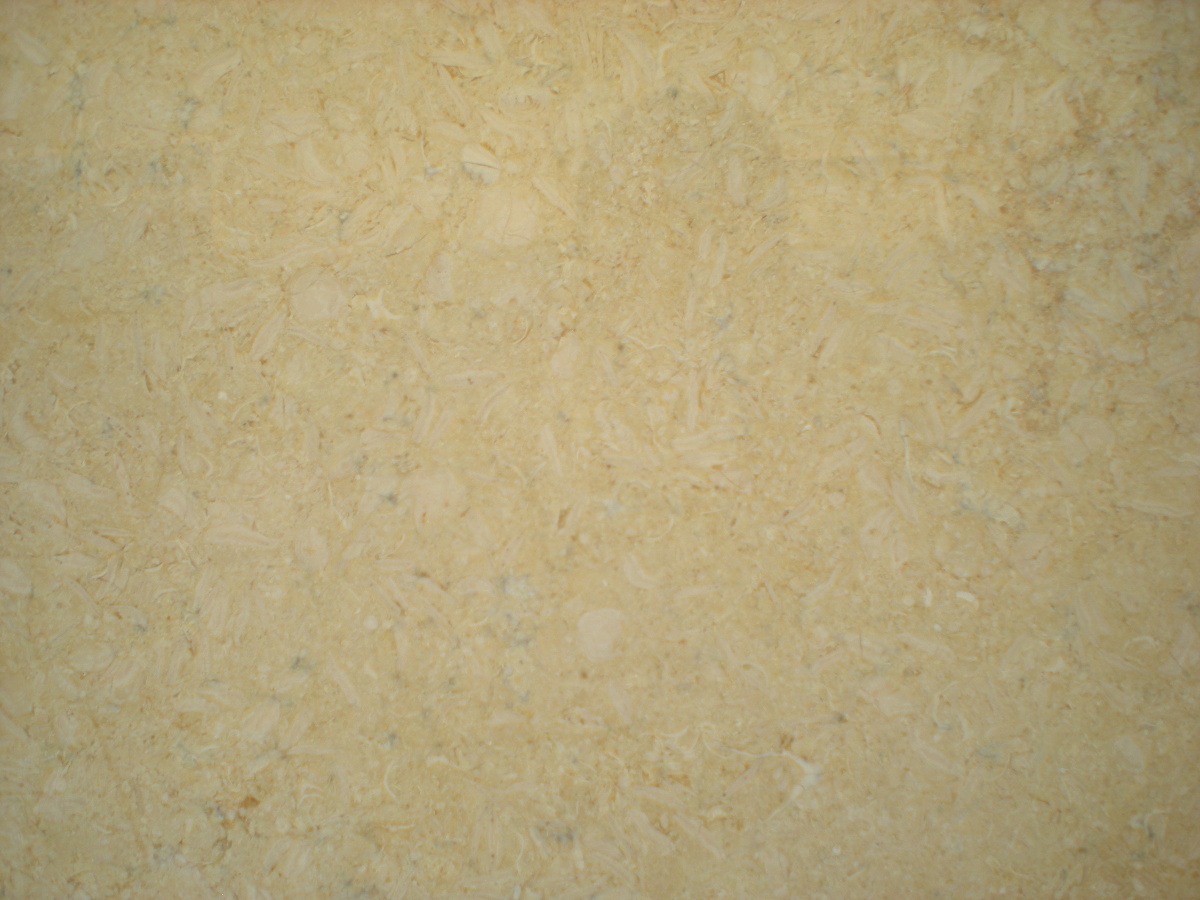 Samaha Beige Marble